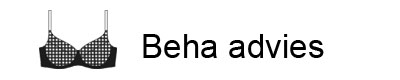 Beha Advies Beha Adives