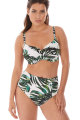 Fantasie Swim - Palm Valley Bikini tailleslip