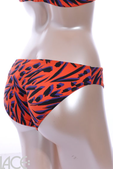 Freya Swim - Tiger Bay Bikini rio slip