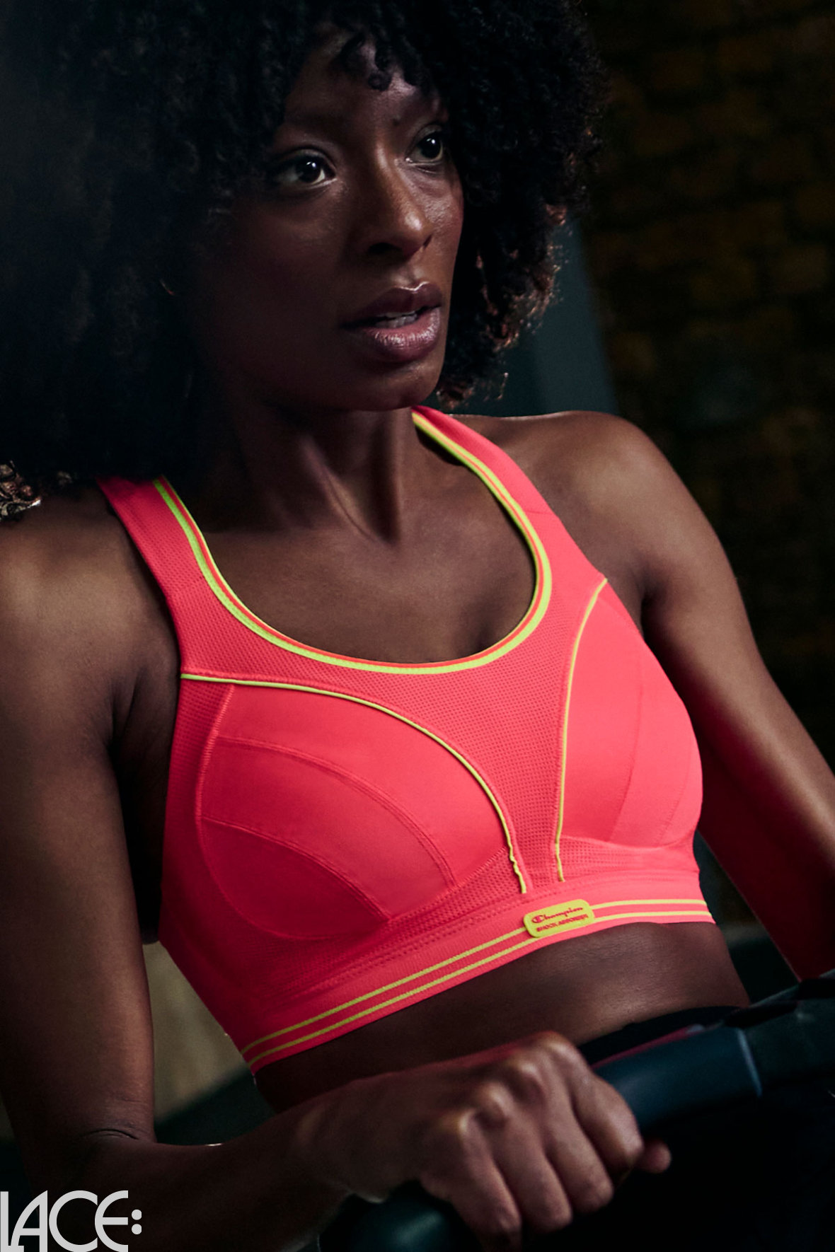 shock absorber ultimate