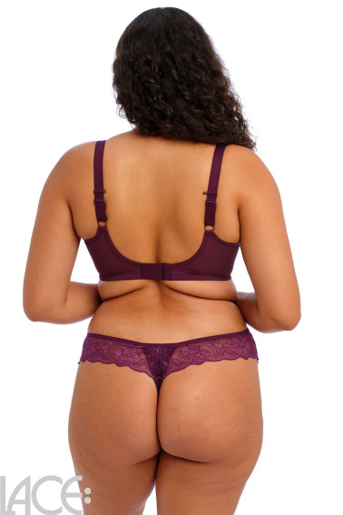 Elomi - Brianna Balconette Beha - Gewatteerd H-L cup