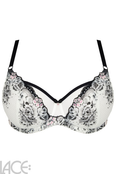 Gorsenia - Beha F-J cup - Gorsenia 37