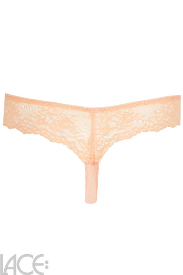 PrimaDonna Twist - Playa Amor String