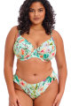 Elomi Swim - Sunshine Cove Bikini rio slip - High leg