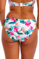 Freya Swim - Palm Paradise Bikini rio slip