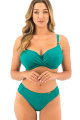 Fantasie Swim - Ottawa Bikini rio slip