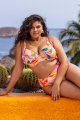 Elomi Swim - Sancho Beach Bikini Beha Plunge I-M cup