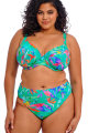 Elomi Swim - Toyama Tides Bikini Beha Plunge G-N cup