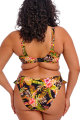 Elomi Swim - Tiger Valley Bikini rio slip - High leg