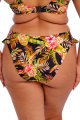 Elomi Swim - Tiger Valley Bikini rio slip - High leg