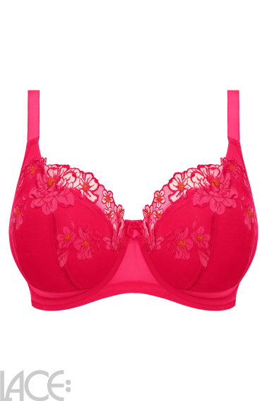 Elomi - Teagan Balconette Beha - Gewatteerd H-L cup