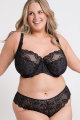 Curvy Kate - Lovelace Brazilian String