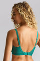 Panache Lingerie - Envy Beha G-M cup