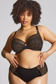 Sculptresse by Panache - Sophia Beha G-M cup