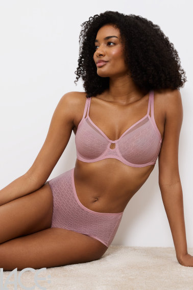 Triumph - Signature Sheer Minimizer Beha E-H cup