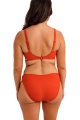 Fantasie Swim - Ottawa Bikini rio slip