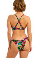 Freya Swim - Kailua Shores Bikini Beha Halternek F-I cup