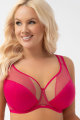 Gorsenia - Beha G-M cup - Gorsenia 45