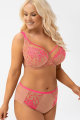 Gorsenia - Tailleslip - Gorsenia 83 Gorsenia - Tailleslip - Gorsenia 83