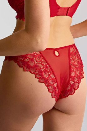 Panache Lingerie - Allure Brazilian slip