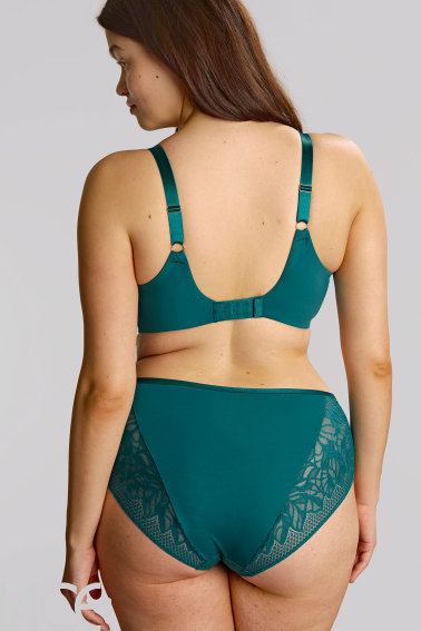 Sculptresse by Panache - Sophia Beha H-M cup