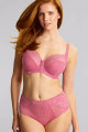 Panache Lingerie - Envy Tailleslip