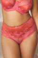 Panache Lingerie - Clara Tailleslip