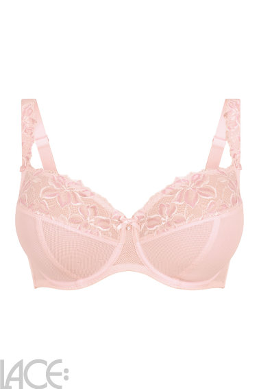 Rosa Faia   - Suzette Beha F-J cup